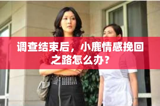调查结束后，小鹿情感挽回之路怎么办？