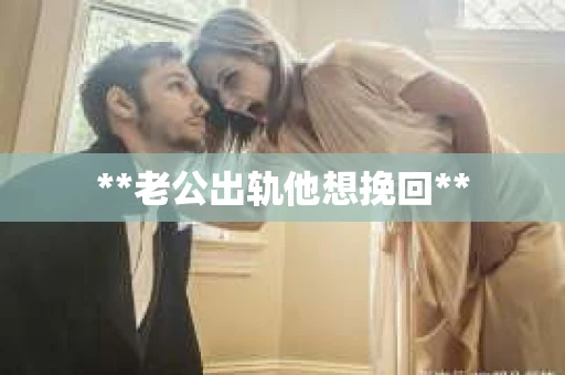 **老公出轨他想挽回**