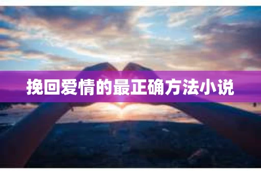 挽回爱情的最正确方法小说