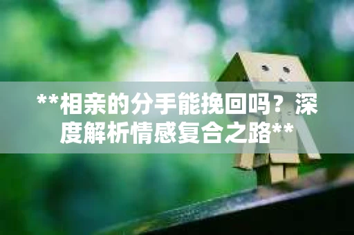**相亲的分手能挽回吗？深度解析情感复合之路**