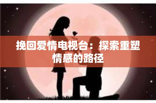 挽回爱情电视台：探索重塑情感的路径