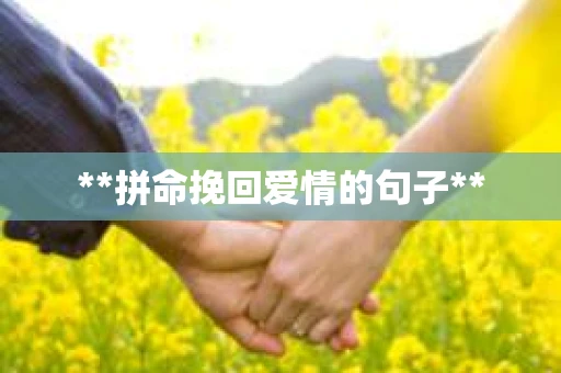 **拼命挽回爱情的句子**