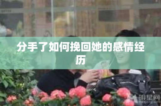 分手了如何挽回她的感情经历