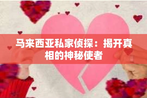 马来西亚私家侦探：揭开真相的神秘使者