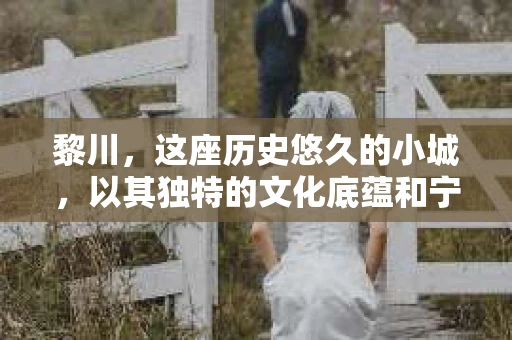 黎川，这座历史悠久的小城，以其独特的文化底蕴和宁静的生活节奏吸引着无数游客。然而，在这样一个看似平静的城市里，你是否会好奇，有没有私家侦探机构的存在呢？今天，就让我带你一探究竟。