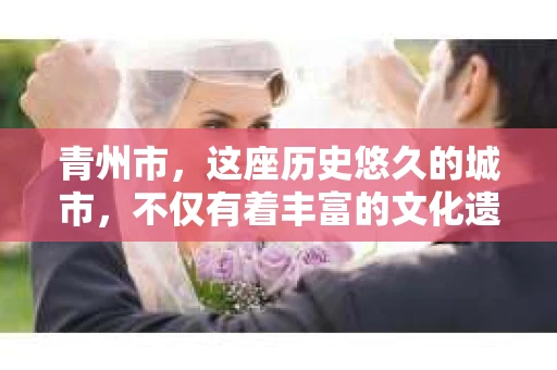 青州市，这座历史悠久的城市，不仅有着丰富的文化遗产，也有着现代生活的便捷。那么，问题来了——青州市有私家侦探公司吗？这个问题，对于需要侦探服务的人来说，无疑至关重要。接下来，我就来为大家揭开这个谜底。