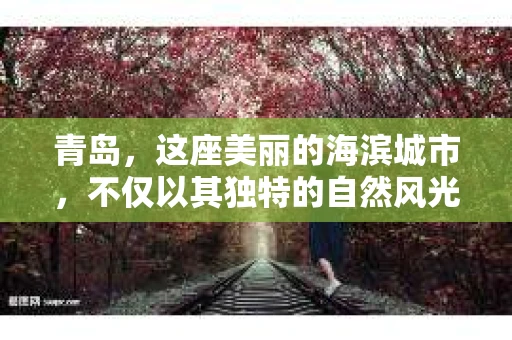 青岛，这座美丽的海滨城市，不仅以其独特的自然风光著称，更以其发达的经济和便捷的交通吸引了众多企业和个人。然而，随着商业活动的日益频繁，债务问题也日益凸显。这时，青岛专业催收公司的出现，无疑为解决债务问题提供了一种高效、合法的途径。