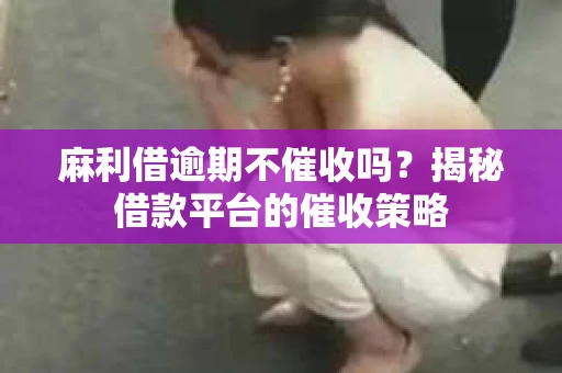 麻利借逾期不催收吗？揭秘借款平台的催收策略