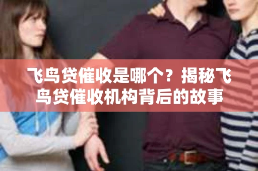 飞鸟贷催收是哪个？揭秘飞鸟贷催收机构背后的故事