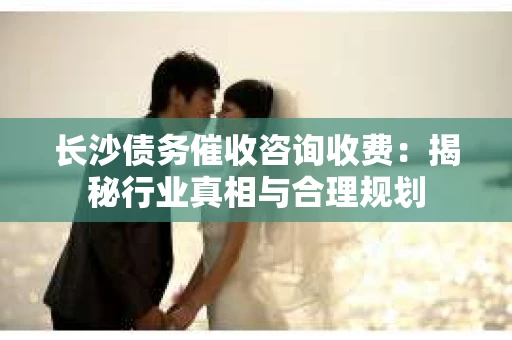 长沙债务催收咨询收费：揭秘行业真相与合理规划