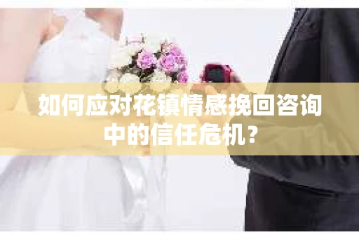 如何应对花镇情感挽回咨询中的信任危机？
