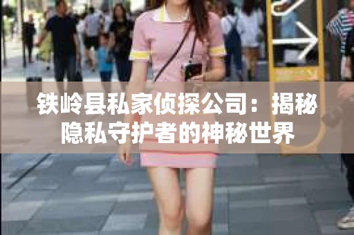 铁岭县私家侦探公司：揭秘隐私守护者的神秘世界