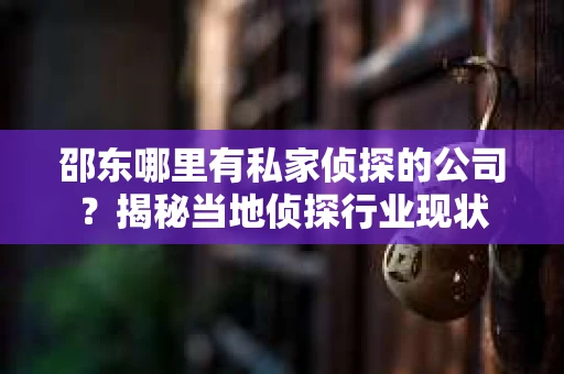 邵东哪里有私家侦探的公司？揭秘当地侦探行业现状