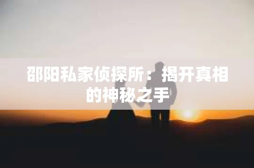 邵阳私家侦探所：揭开真相的神秘之手