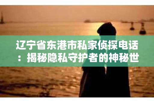 辽宁省东港市私家侦探电话：揭秘隐私守护者的神秘世界