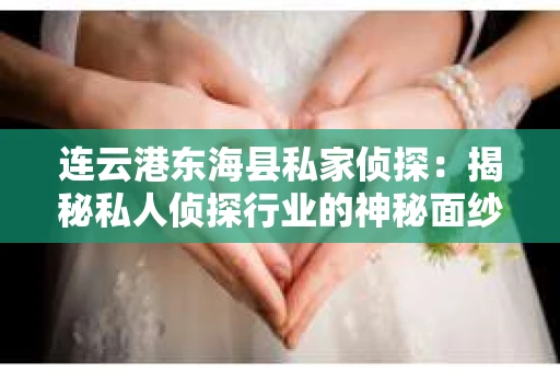 连云港东海县私家侦探：揭秘私人侦探行业的神秘面纱