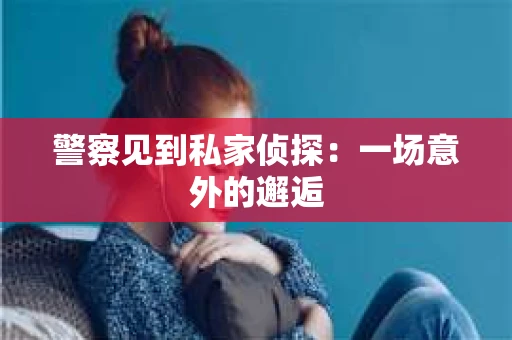 警察见到私家侦探：一场意外的邂逅