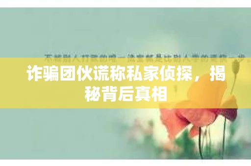 诈骗团伙谎称私家侦探，揭秘背后真相