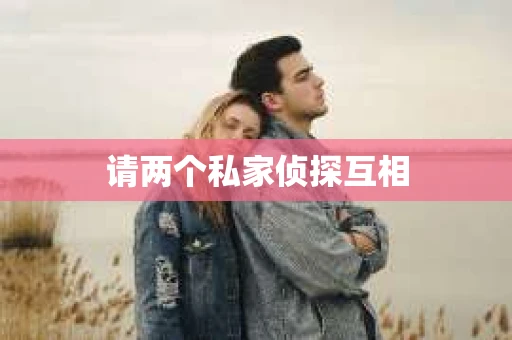 请两个私家侦探互相