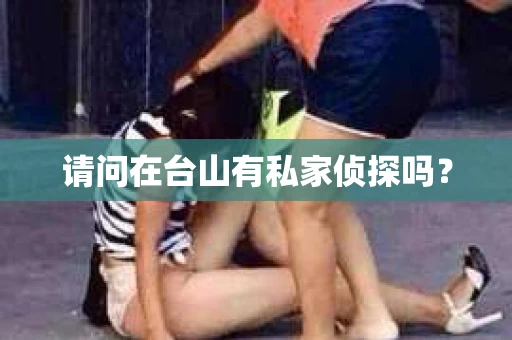 请问在台山有私家侦探吗？