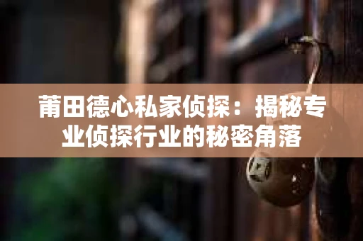 莆田德心私家侦探：揭秘专业侦探行业的秘密角落