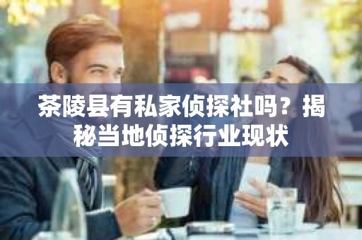 茶陵县有私家侦探社吗？揭秘当地侦探行业现状