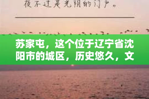 苏家屯，这个位于辽宁省沈阳市的城区，历史悠久，文化底蕴深厚。近年来，随着社会的发展，人们对于私家侦探的需求也逐渐增加。那么，苏家屯有私家侦探吗？今天，我们就来聊聊这个话题。