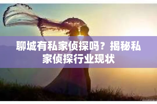 聊城有私家侦探吗？揭秘私家侦探行业现状