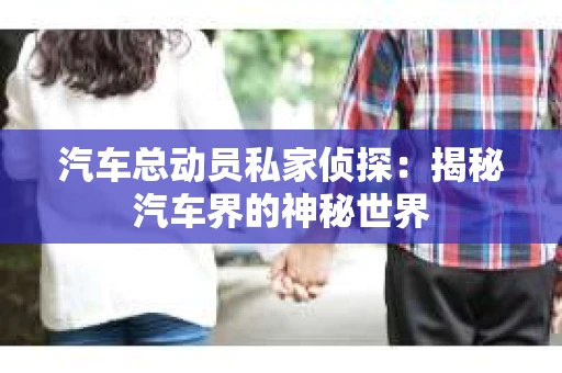 汽车总动员私家侦探：揭秘汽车界的神秘世界