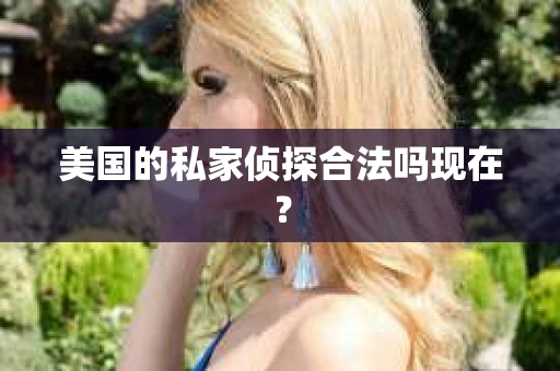 美国的私家侦探合法吗现在？
