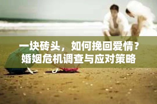 一块砖头，如何挽回爱情？婚姻危机调查与应对策略