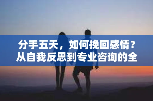分手五天，如何挽回感情？从自我反思到专业咨询的全面解决方案