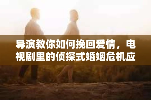 导演教你如何挽回爱情,电视剧里的侦探式婚姻危机应对法 导演教你如何挽回爱情,电视剧里的侦探式婚姻危机应对法