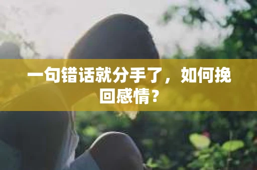 一句错话就分手了，如何挽回感情？