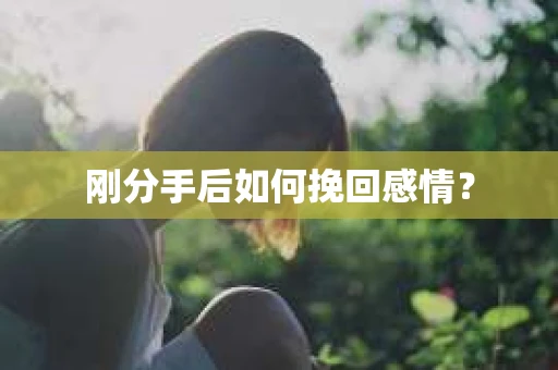 刚分手后如何挽回感情？
